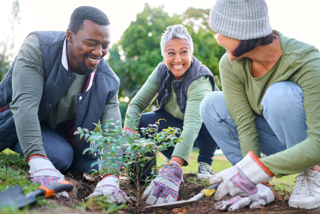 Community gardening among neighbors