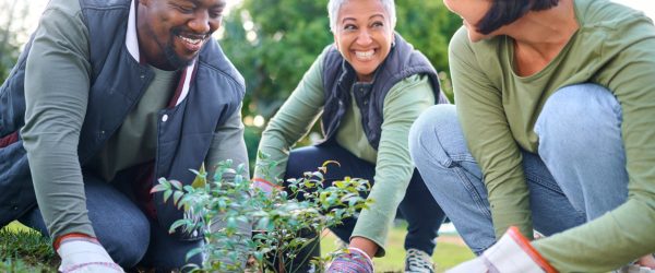 Community gardening among neighbors